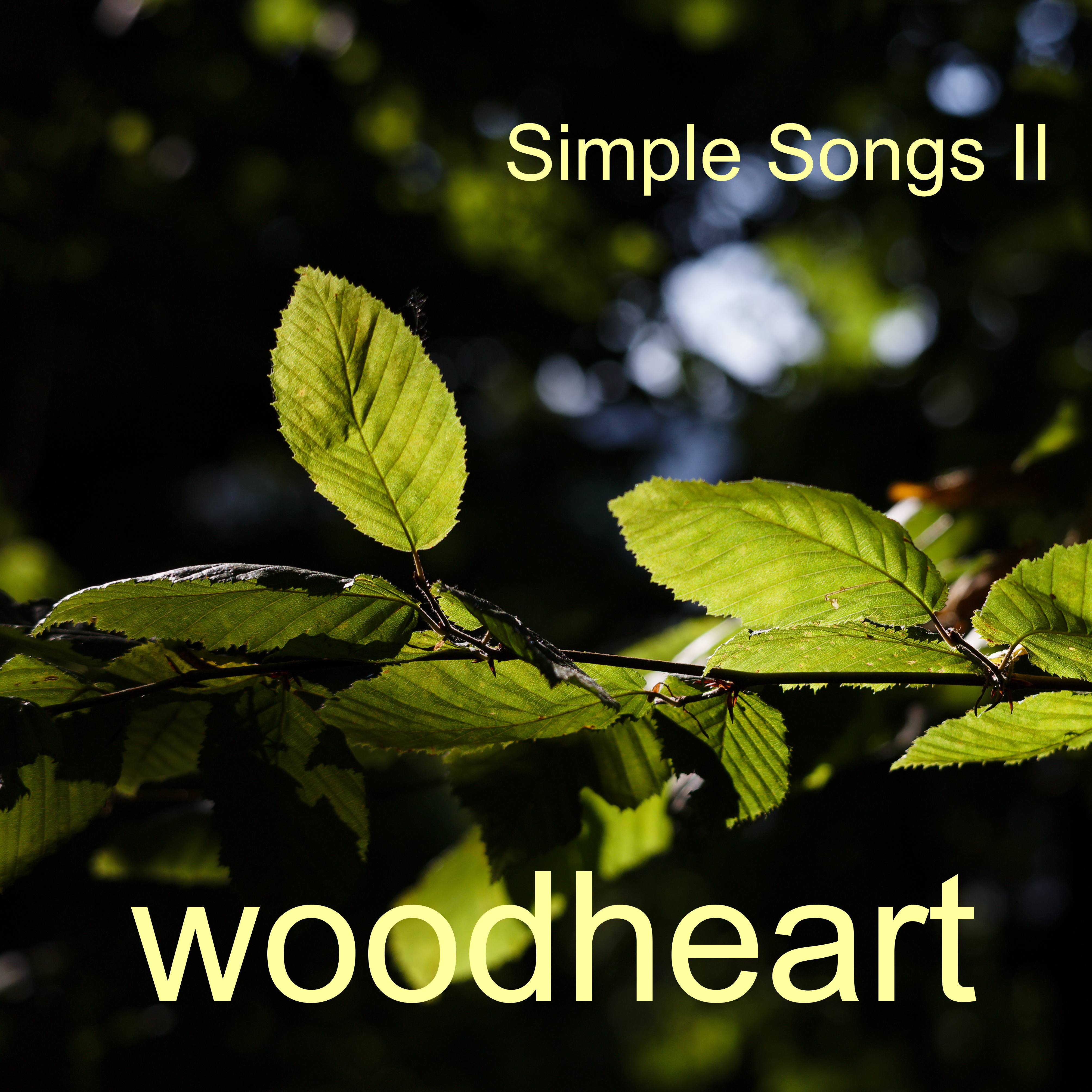 Simple Songs II cover