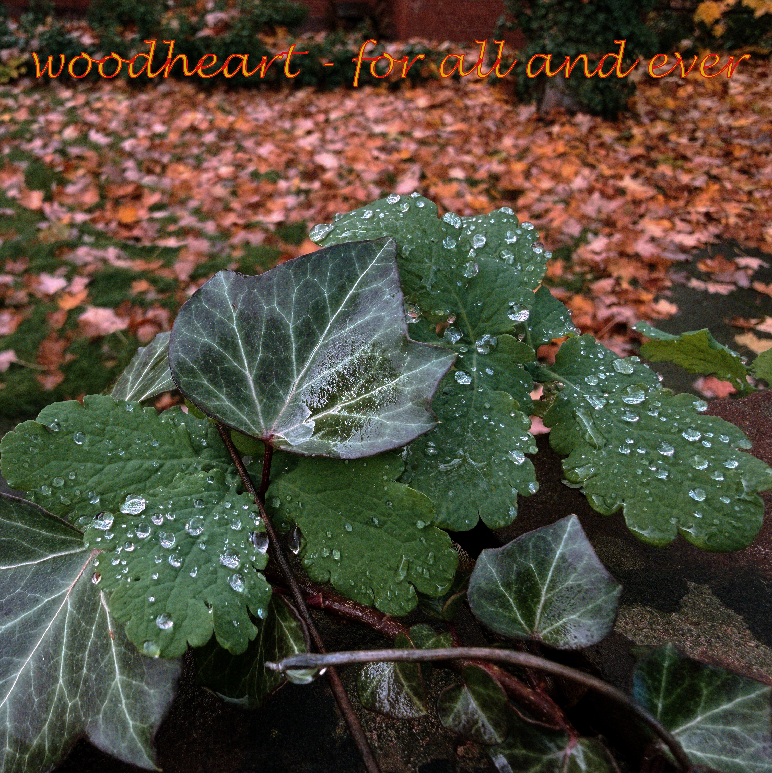 For All And Ever cover